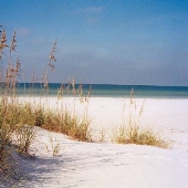 Clearwater Ft. Desoto