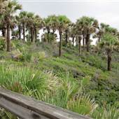 Hanna Park
