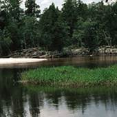 Blackwater River State Park