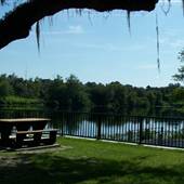 Barron Park