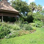 Mounts Botanical Gardens