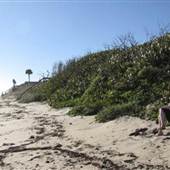 Melbourne beaches