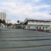 Shuffleboard