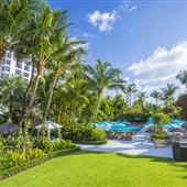 The Palms