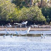 Werner Boyce Salt Springs State Park