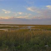 Francis S. Taylor Wildlife Management Area