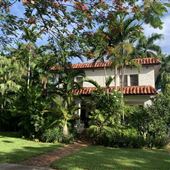 South Miami Avenue Beauty