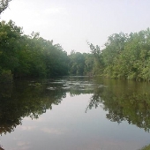 Shoal River