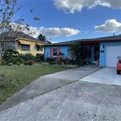 Florida Flamingo Home