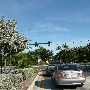 A1A and Linton