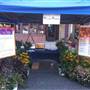Williams Nursery