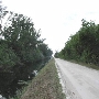 Bob West Road