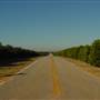 Roads - Tree Canopy