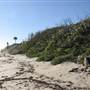 Melbourne beaches