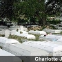Miami Charlotte Cemetery