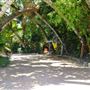 Guanabana's Restaurant