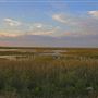 Francis S. Taylor Wildlife Management Area