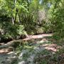 555 NW 23RD ST