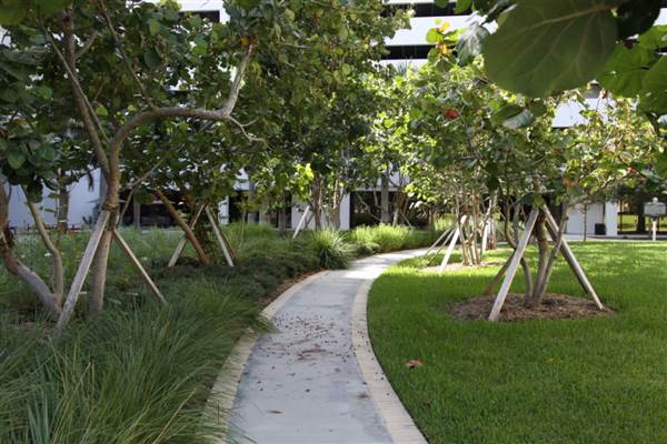 Centennial Plaza
