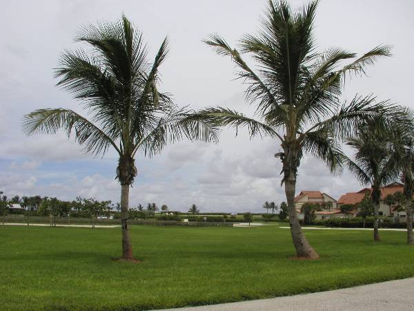Ocean Cay Park